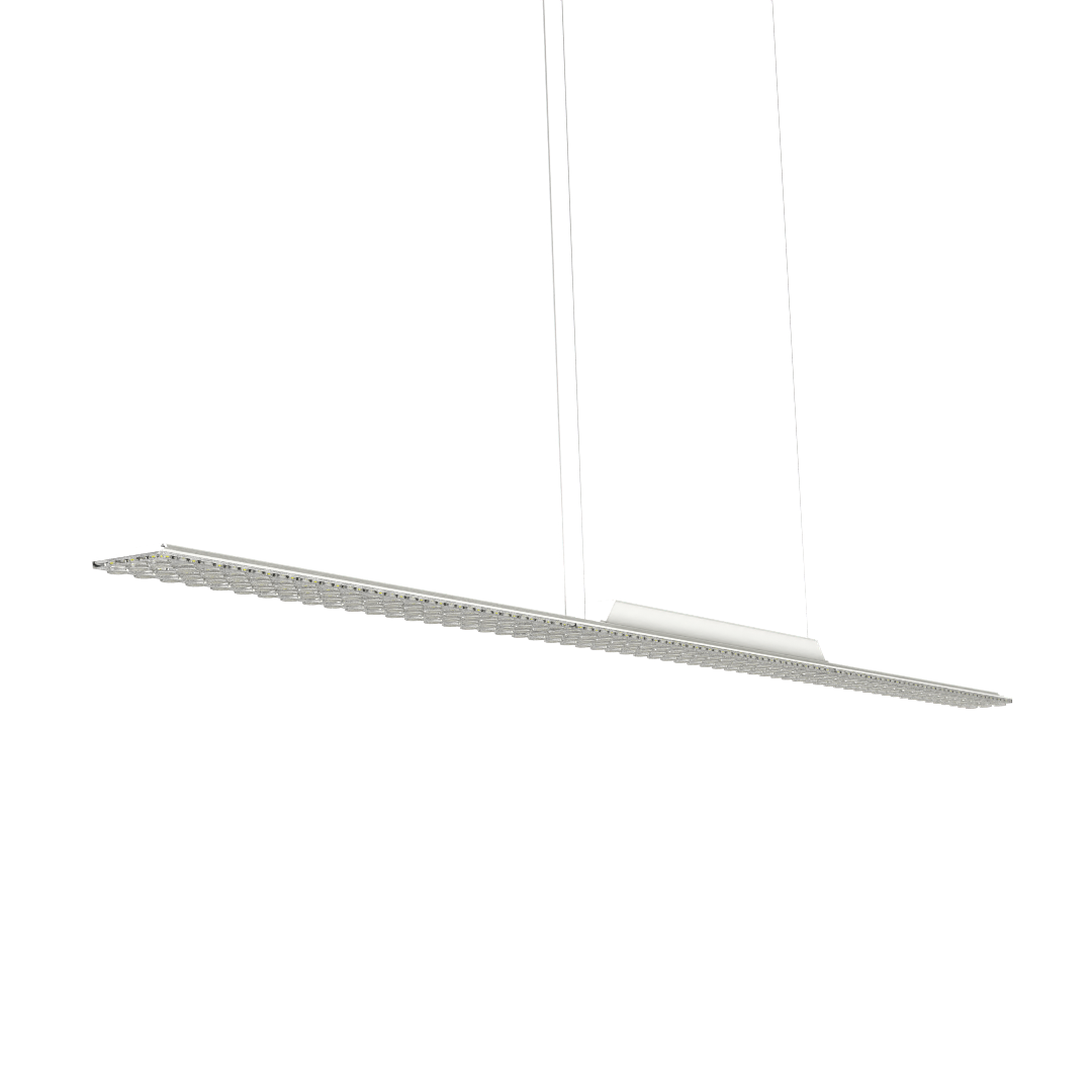 Flit Suspended